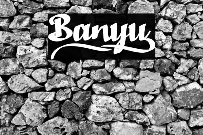 Banyu_ Font examples