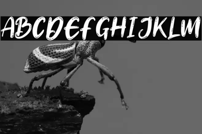 Banyulangits-Regular Font examples