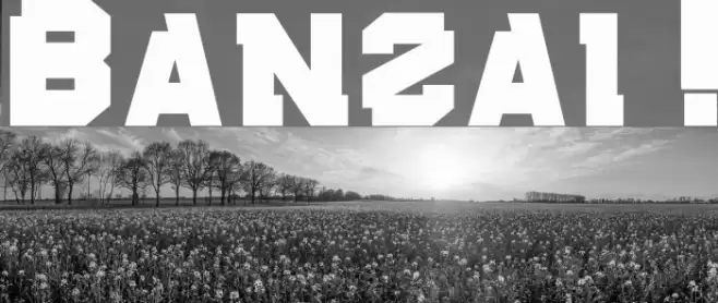 Banzai ! Font examples