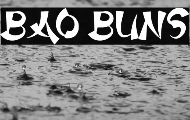 Bao Buns Font examples