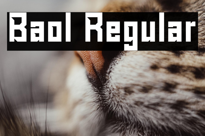 Baol Regular Example 2