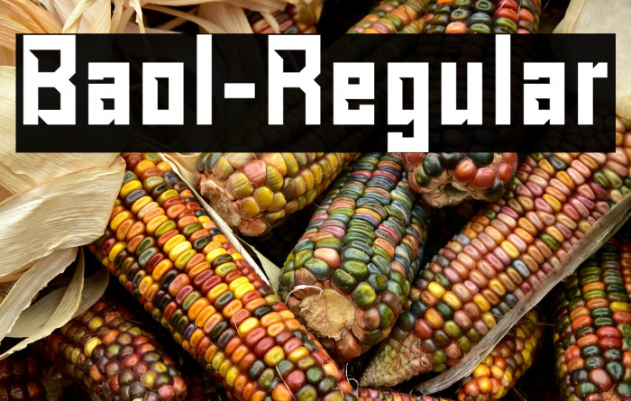 Baol-Regular Example 3