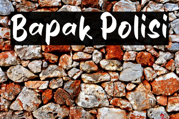 Bapak Polisi Example 2