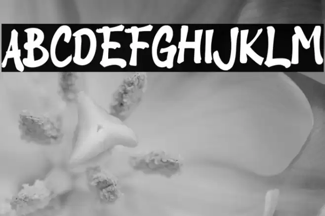 Bapakmu_ Font examples