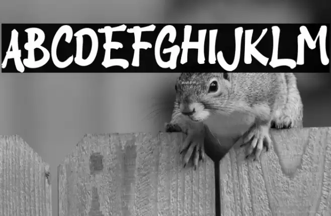 Bapakmu_ Font examples