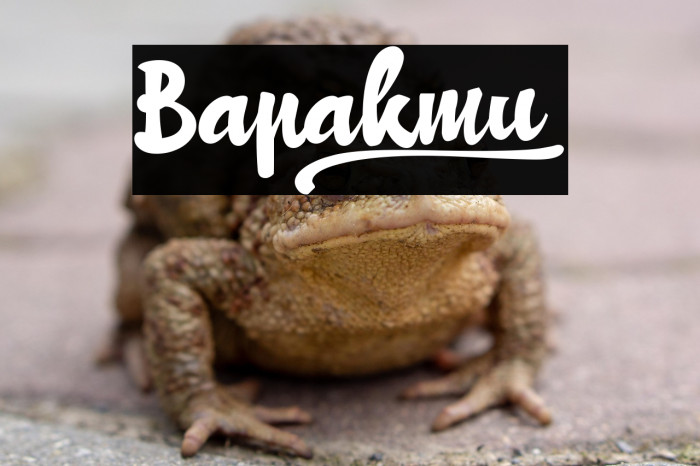 Bapakmu_ Example 2