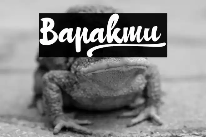 Bapakmu_ Font examples