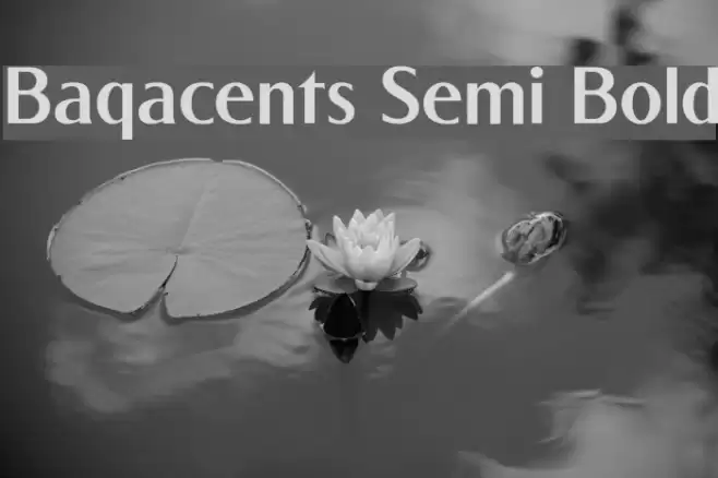 Baqacents Semi Bold Font examples