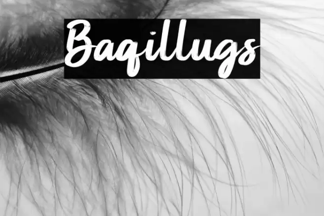 Baqillugs Font examples