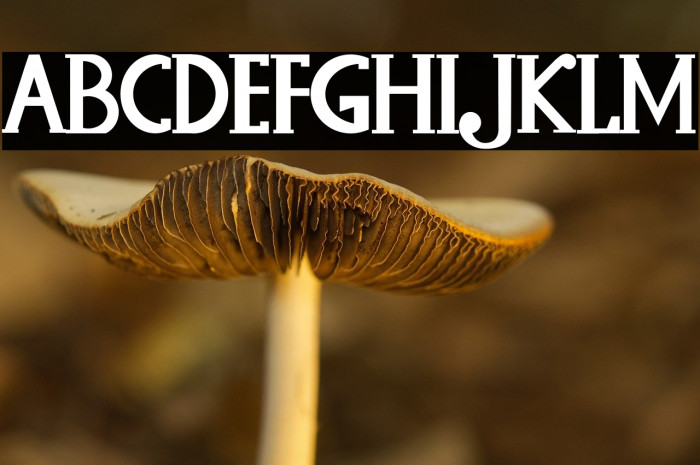 Baques Handtam Example 2