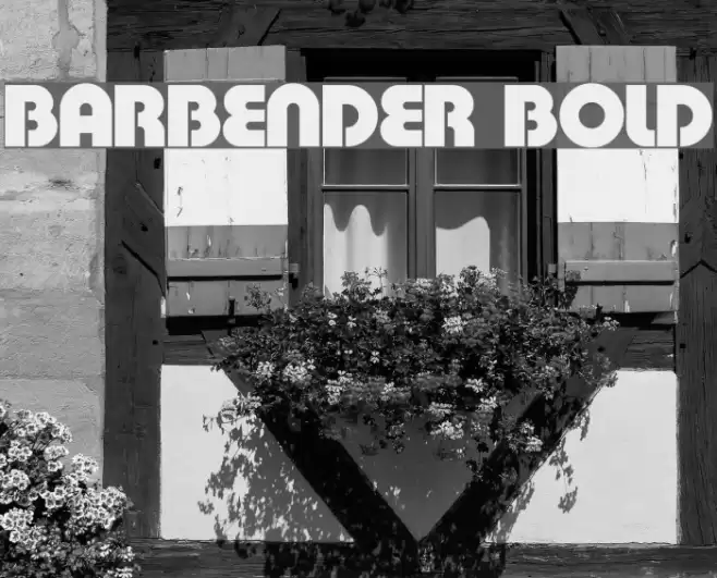 BarBender Bold Fonte examples