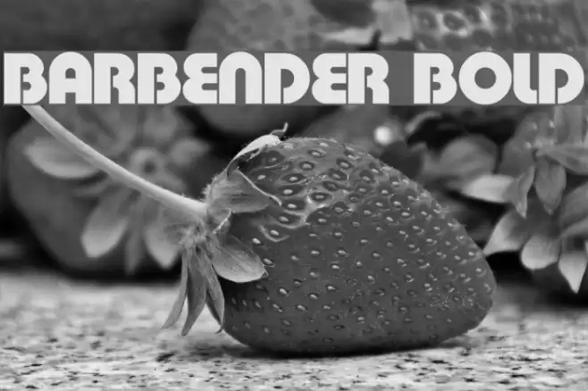BarBender Bold Fonte examples