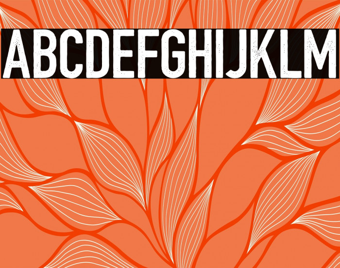 BarBoothatMatts Example 2