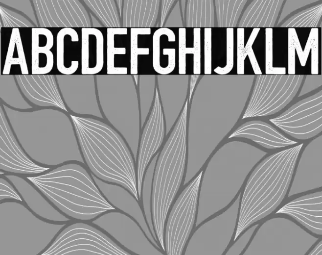 BarBoothatMatts Font examples