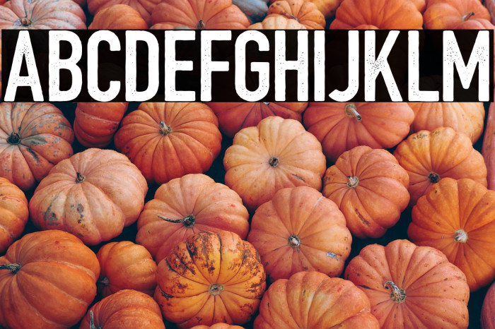 BarBoothatMatts Example 3