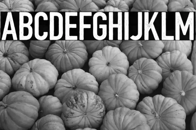 BarBoothatMatts Font examples