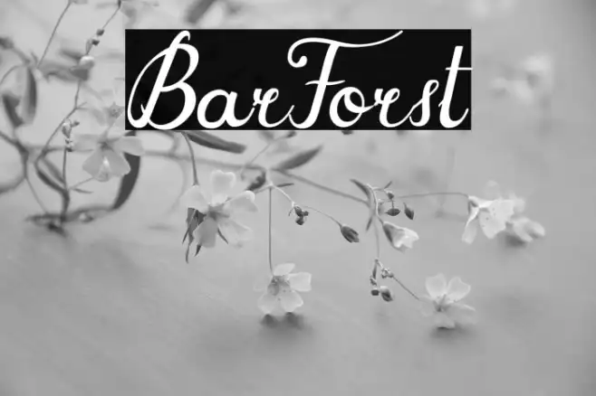 BarForst Example 1