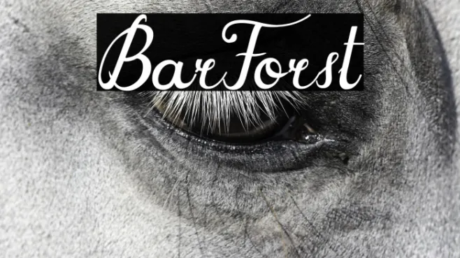BarForst Example 3