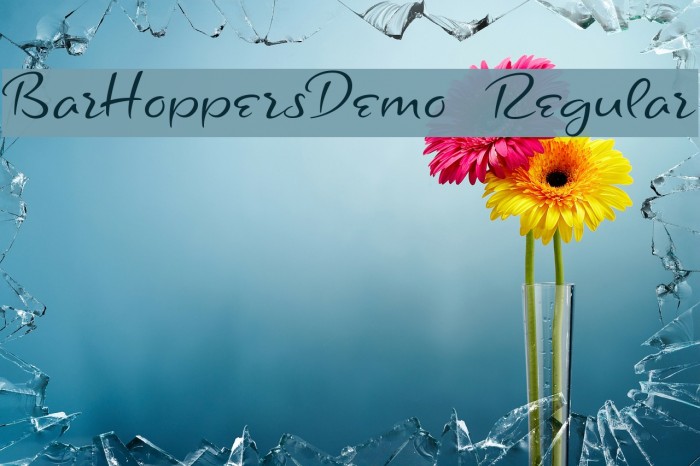 BarHoppersDemo-Regular Font examples