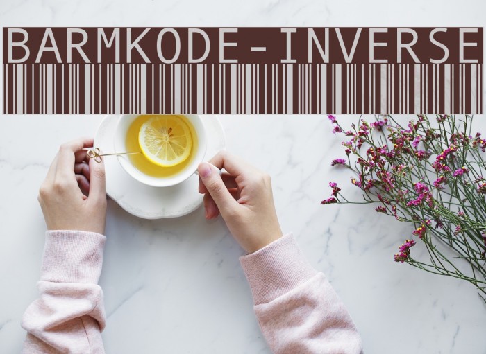 BarMKode-Inverse Font examples