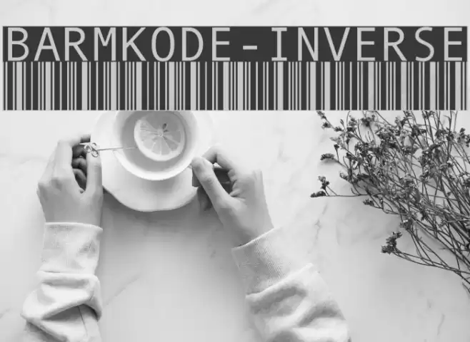 BarMKode-Inverse Schriftart examples