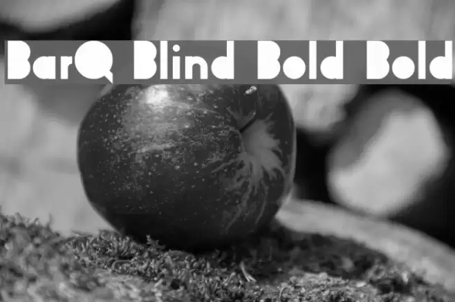 BarQ Blind Bold Bold Font examples