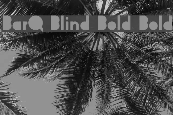 BarQ Blind Bold Bold Font examples