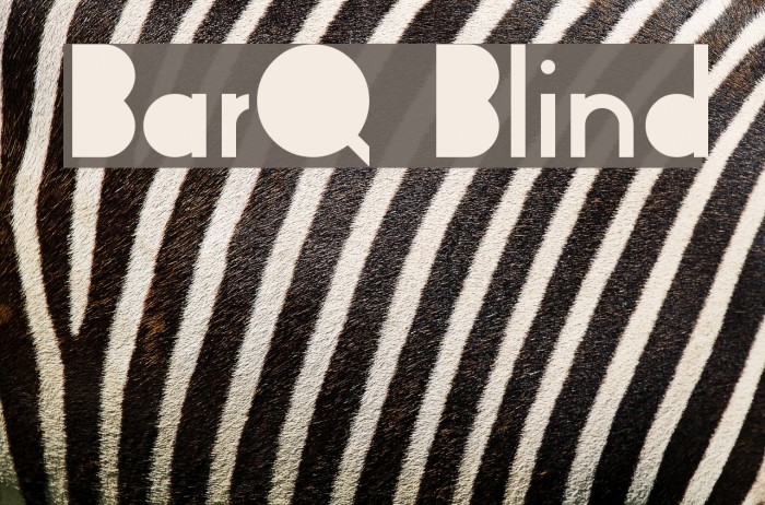 BarQ Blind Example 1
