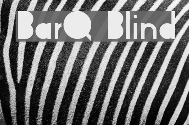BarQ Blind Font examples