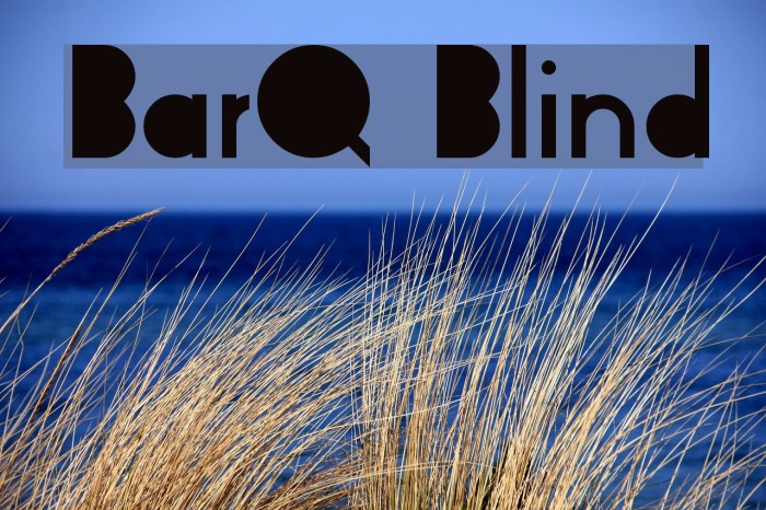 BarQ Blind Example 2