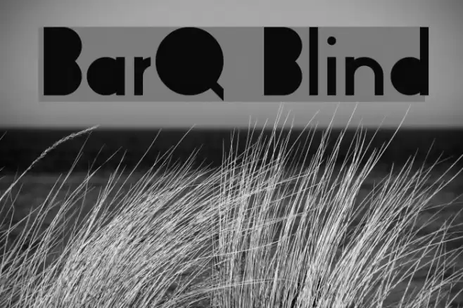 BarQ Blind Font examples