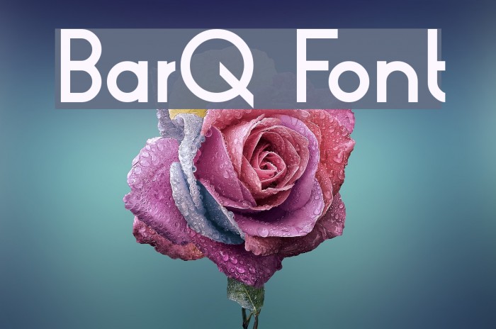 BarQ Font examples