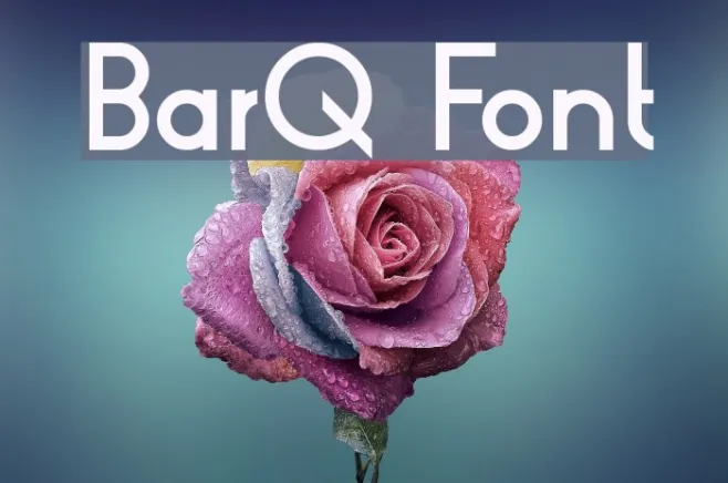 BarQ Example 3