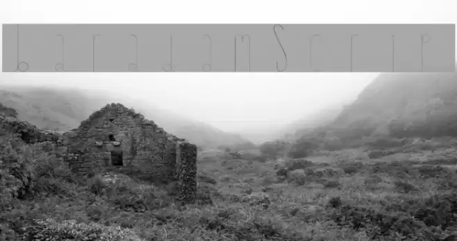 BaradamScript Font examples