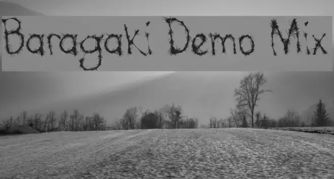 Baragaki Demo Mix Font examples