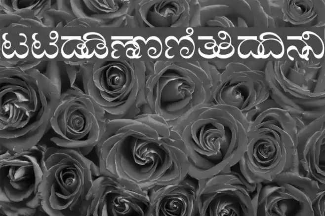 Baraha Kan Font examples