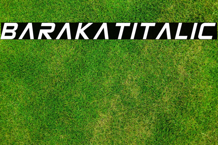 Barakat Italic Example 2