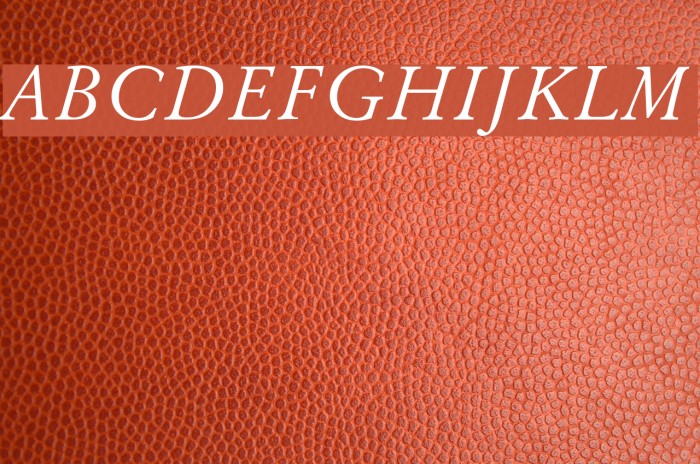 Baramond Italic Font examples