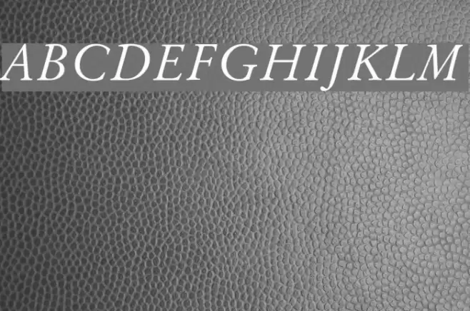 Baramond Italic  examples