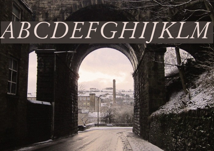 Baramond Italic Font examples