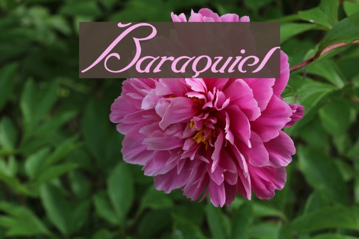 Baraquiel Font examples