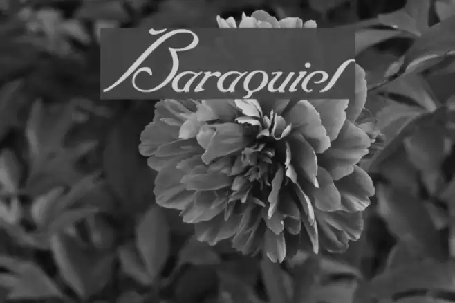 Baraquiel फ़ॉन्ट examples