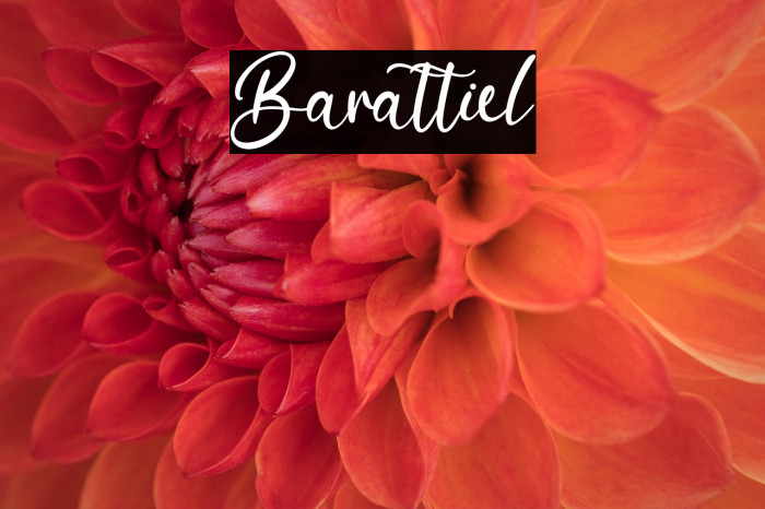 Barattiel Example 2
