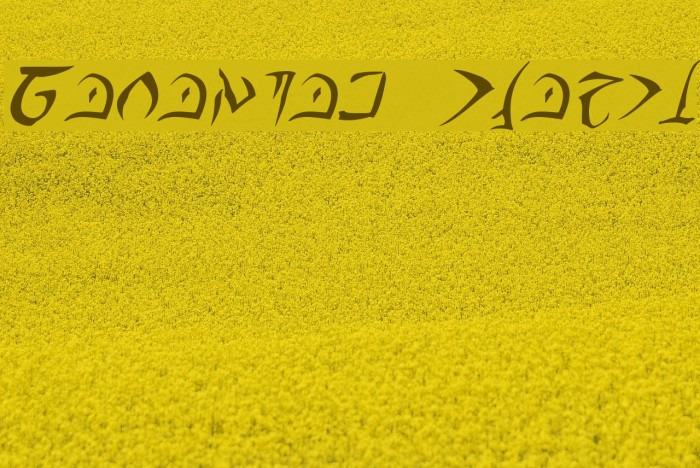 Barazhad Italic Font examples