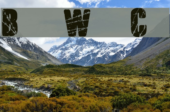 Barb Wire Club Example 1