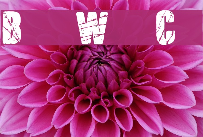 Barb Wire Club Example 2