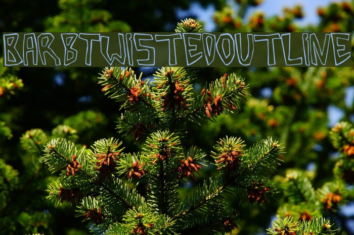 BarbTwistedOutline Font examples