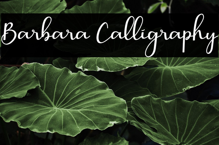 Barbara Calligraphy Example 1