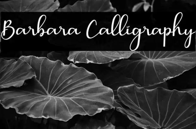 Barbara Calligraphy Font examples