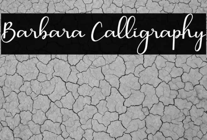 Barbara Calligraphy Font examples